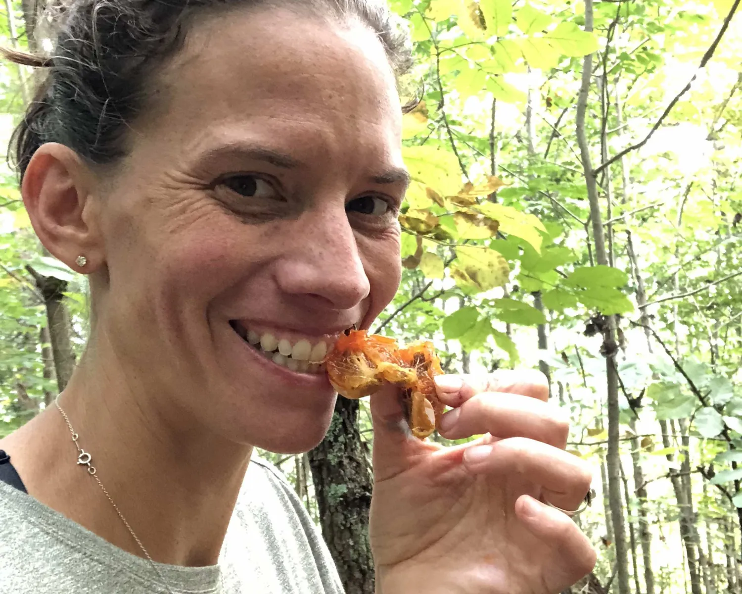 tasting a wild persimmon in Northern VA