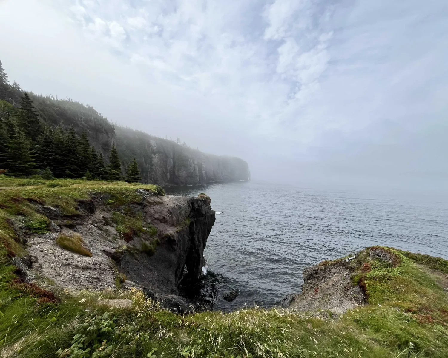 Newfoundland Coastline